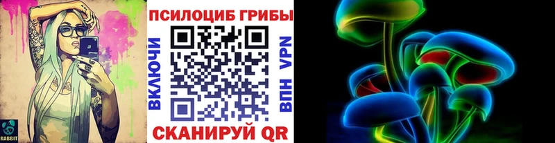 купить наркотики цена  Починок  Галлюциногенные грибы мухоморы 